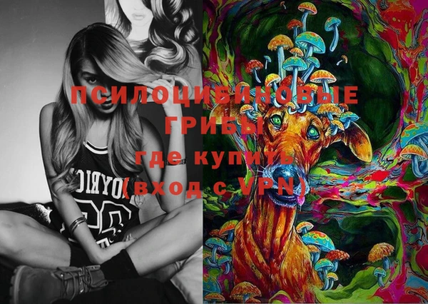 не бодяженный Абаза